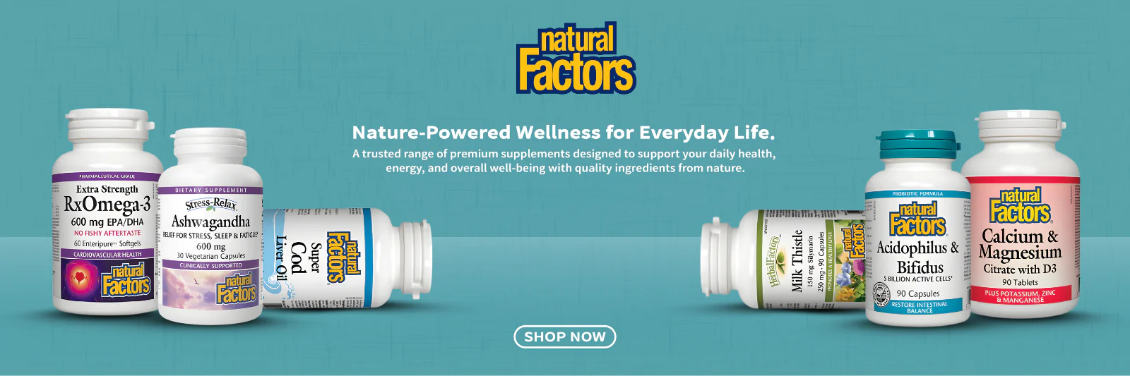 Your Ultimate Wellness Destination